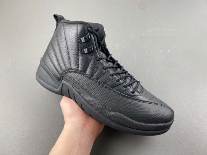 Air Jordan 12 CT8013-0101