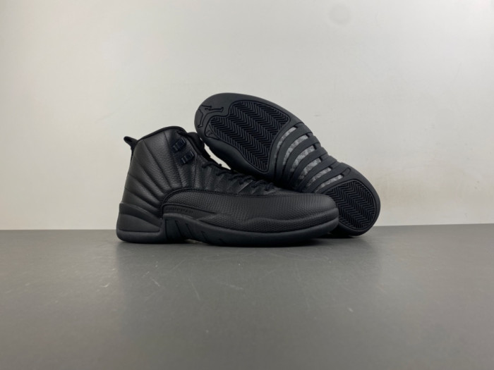Air Jordan 12 CT8013-0101