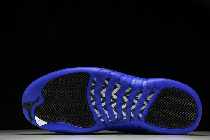 Air Jordan 12 “Blueberry” CT8013-140
