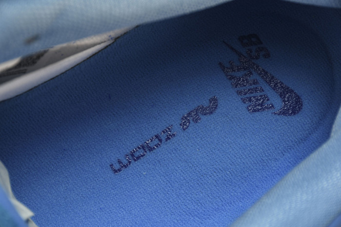 nike sb dunk low pro dm0807-400