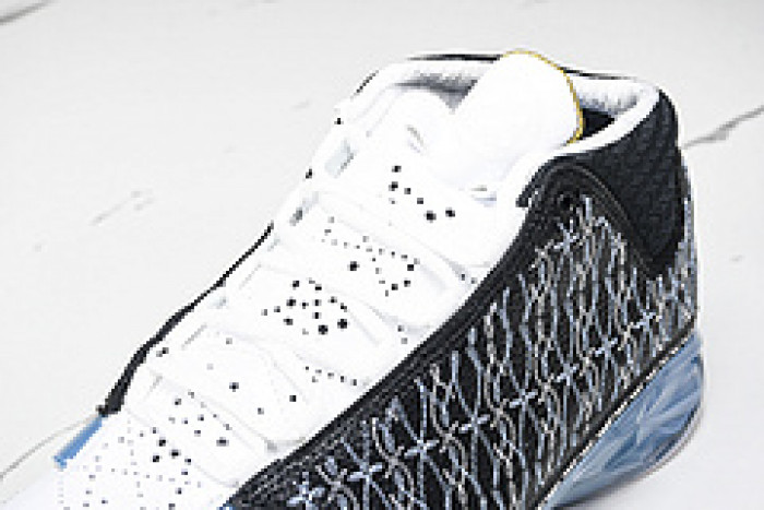 Air Jordan 23 UNC 318376-041