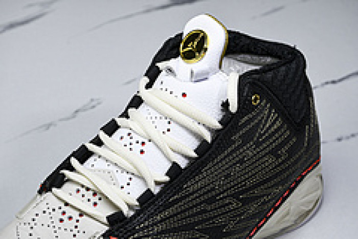 Titan x Air Jordan 23 CZ6222-001