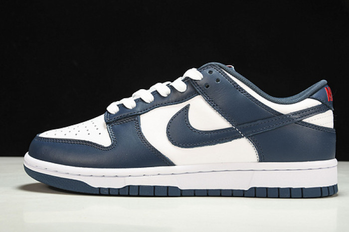 nike dunk low valerian blue dd1391-400
