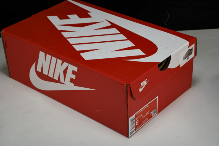 nike dunk low dd1391-100 xl