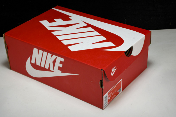 nike dunk low dd1391-100 xll