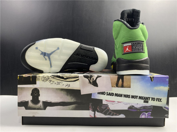air jordan 5 “oregon” ck6631-307