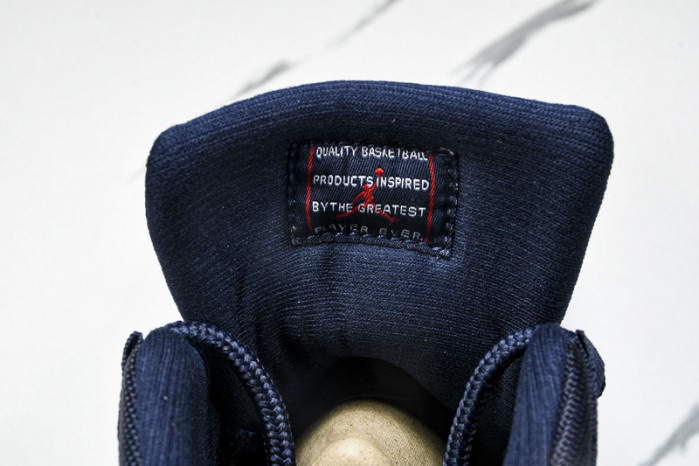 Air Jordan 11 CT8012-406
