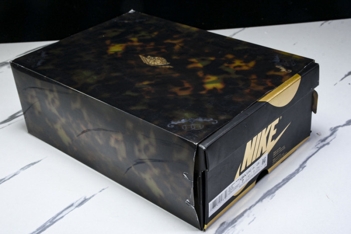 Air Jordan 1 High OG “Xuanwu” IB3165-091