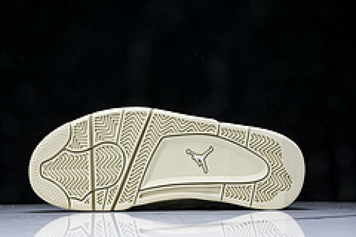 Jordan 4 Retro Net Rattan FN7251-200