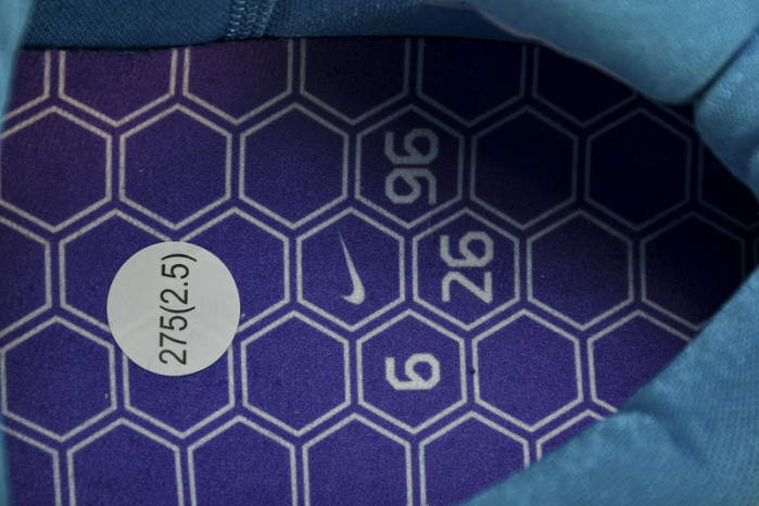 nike kobe 4 protro draft day hornets av6339-100