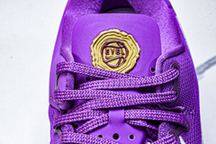 Nike Kobe 8 Protro EYBL HJ7265-500