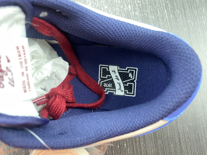 nike dunk low “from nike to you” fv8113-141