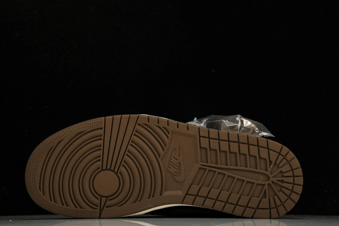 jordan 1 retro high og palomino dz5485-020