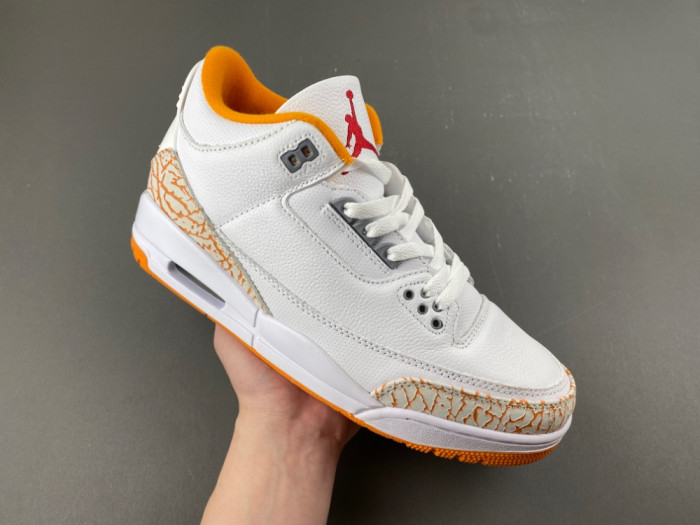 Jordan 3 CK9246-101